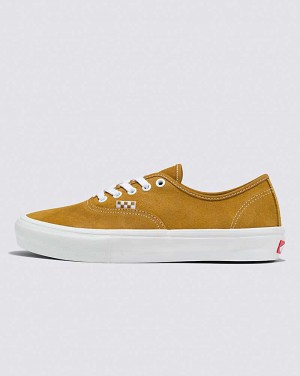 Vans Skate Authentic Shoe Men Skate Shoes Brown | GA1-5745