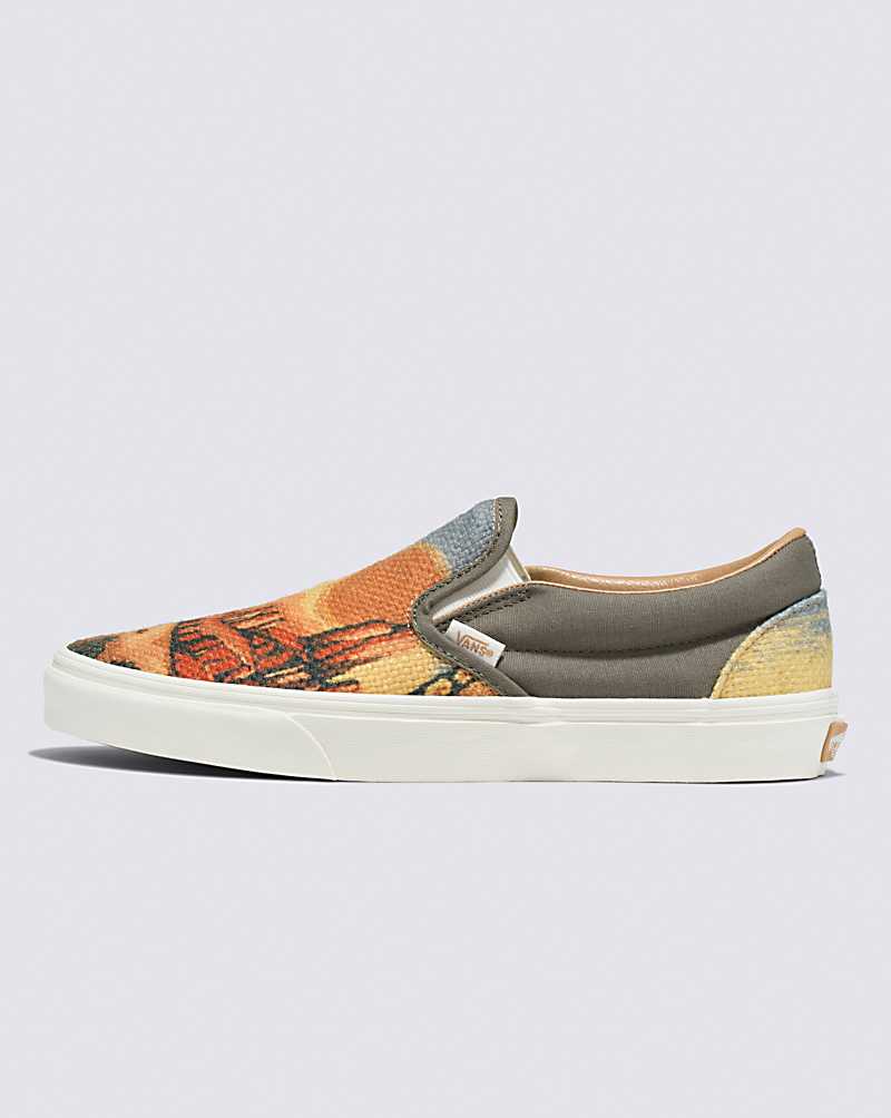 Vans Classic Slip-On Shoe Women Slip On Shoes Multicolor | TL1-1548