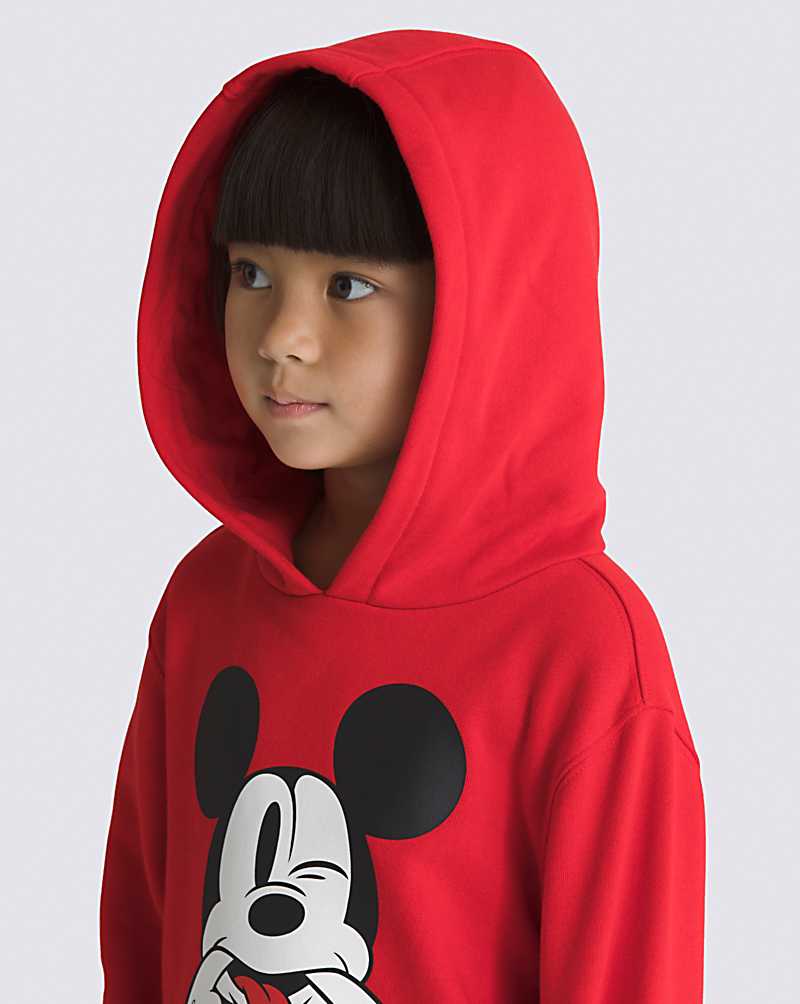 Vans Little Kids Funhouse 100 Pullover Kids' Hoodie Red | IO1-0103