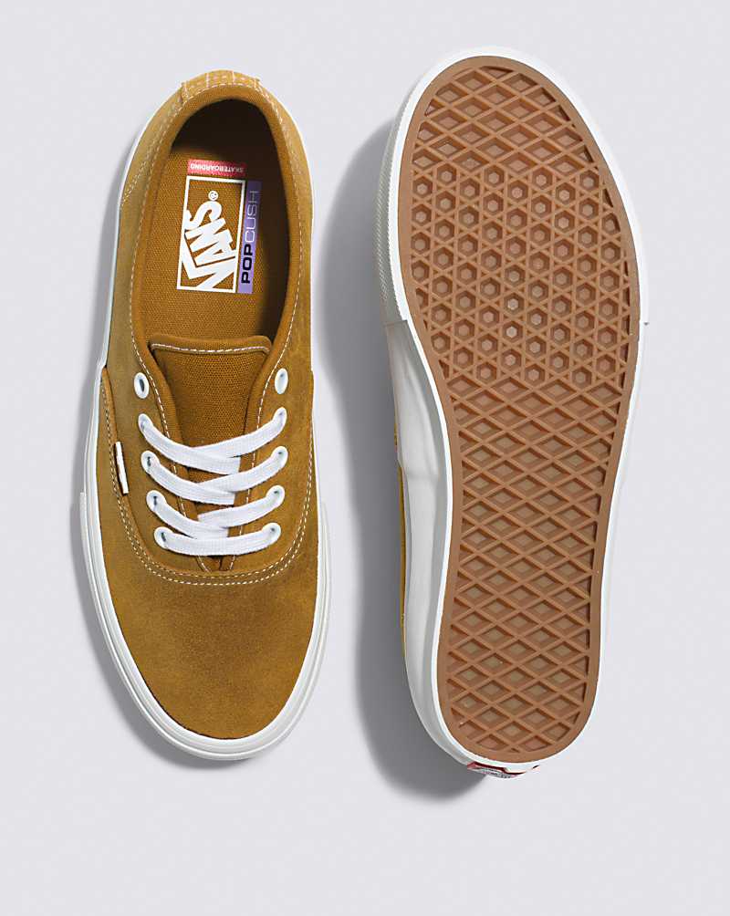 Vans Skate Authentic Shoe Men Skate Shoes Brown | GA1-5745